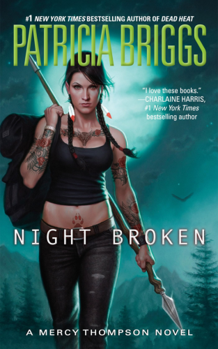 Patricia Briggs - Night Broken - book cover